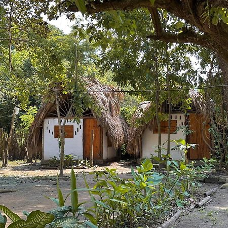 La Aldea Hostel, Camping Y Hamacas Palomino Exterior foto