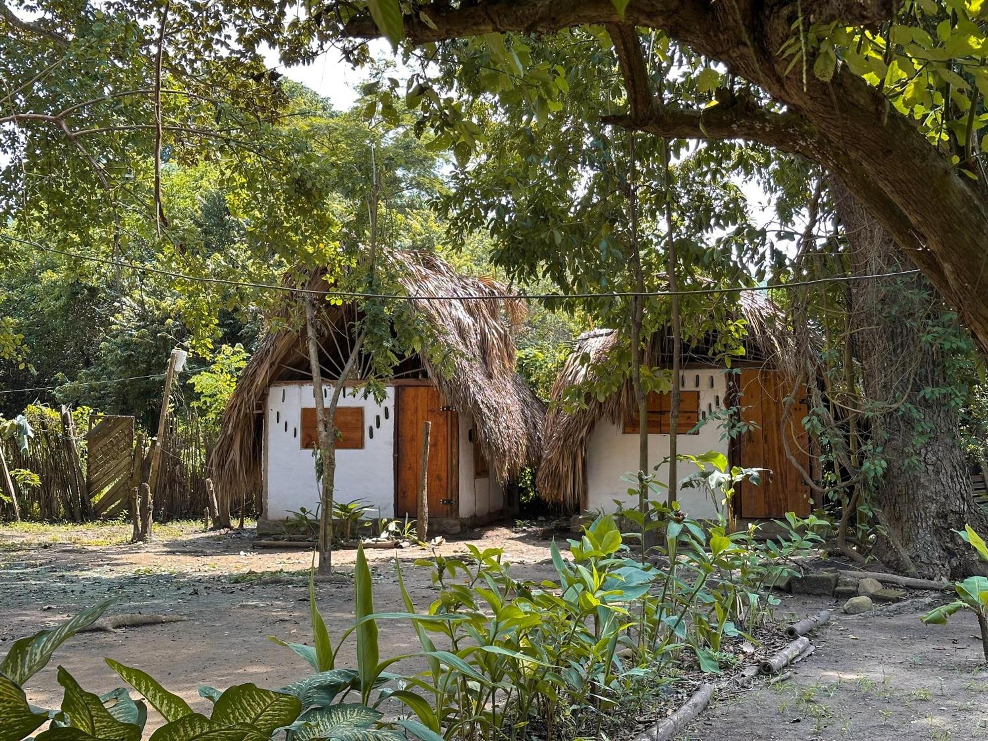 La Aldea Hostel, Camping Y Hamacas Palomino Exterior foto