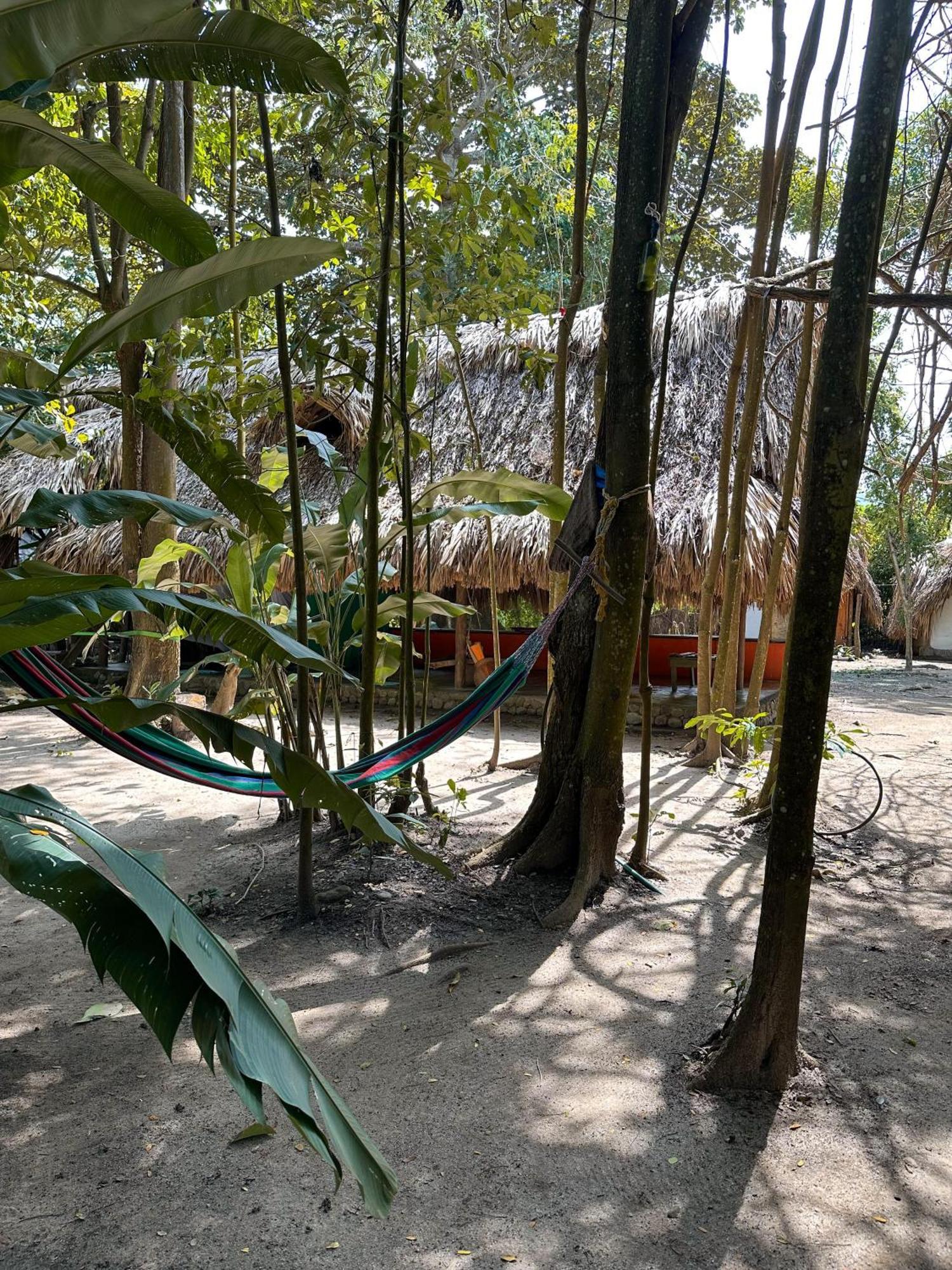 La Aldea Hostel, Camping Y Hamacas Palomino Exterior foto