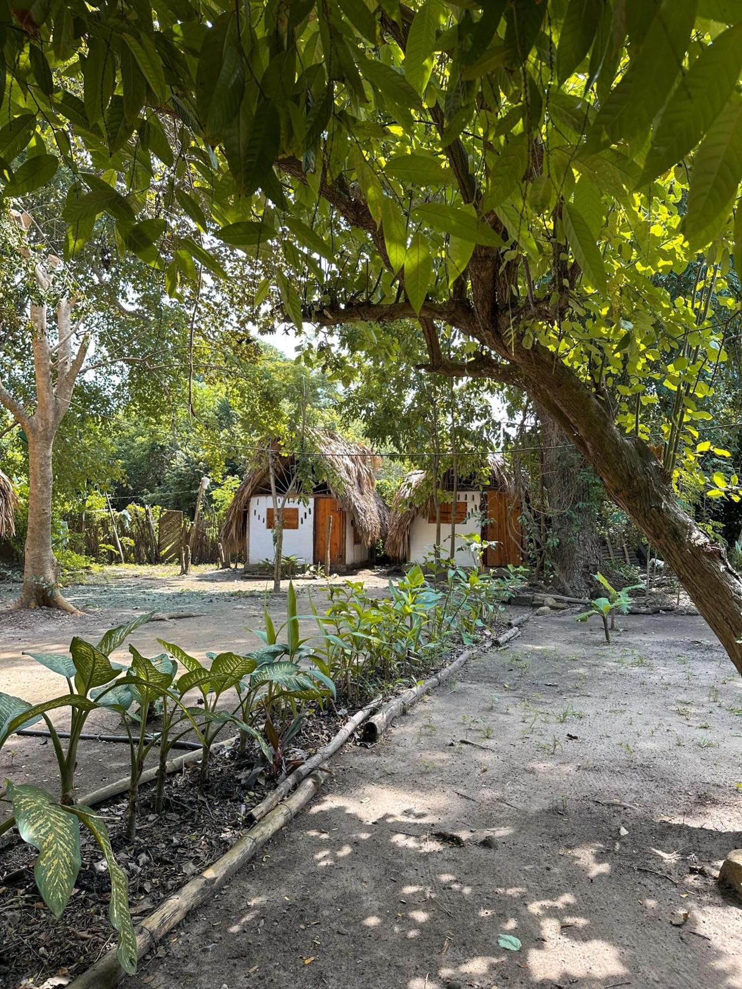 La Aldea Hostel, Camping Y Hamacas Palomino Exterior foto